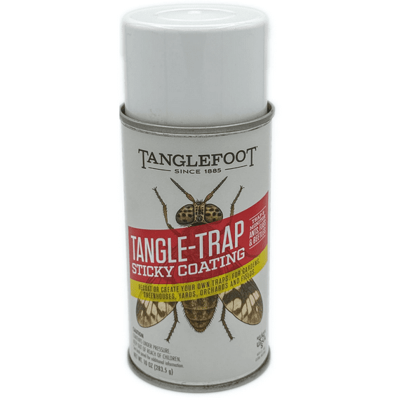 Tanglefoot Tangle-Trap Sticky Coating Aerosol Spray, 10oz – Long-Lasting Adhesive for DIY Insect Traps, Garden & Home Use, Easy Application