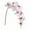 Pink, variant on 2026 Hot!Flowers Butterfly Orchid 1 Pc Real Double Branch Silk Flowers for Wedding Home Office Party Hotel Yard Decoration Restaurant Patio Festive Furnishing