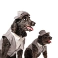thumbnail image 5 of Midlee Dog Tuxedo Wedding Suit- Gray Top Hat & Leash (4XL), 5 of 7