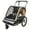 Orange/Gray, variant on Allen Sports 2-Child Bicycle Trailer and Stroller, model AS2