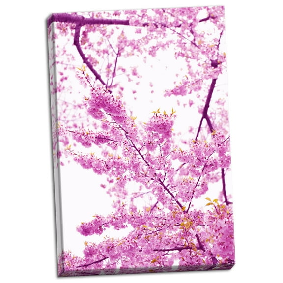 Gango Home Decor Bright Blooms II by Karyn Millet (Ready to Hang); One 24x36in Hand-Stretched Canvas