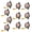 Black, variant on AOOOWER 10Pcs Graduation Hat Gift Packaging Box 17x10cm Clear Plastic Party Treat Holder Container For Graduation Celebration