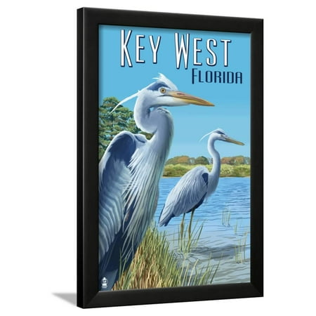  Key  West Florida Blue Heron Framed Print Wall Art  By 
