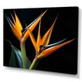 thumbnail image 2 of Designart "Flowers Amidst the Birds of Paradise II" Floral Wall Art Living Room, 2 of 5