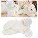 thumbnail image 5 of Conejito de peluche de juguete para niños y niñas, relleno de algodón PP suave, Color brillante, peso ligero, conejito de peluche, dormitorio, 5 of 8