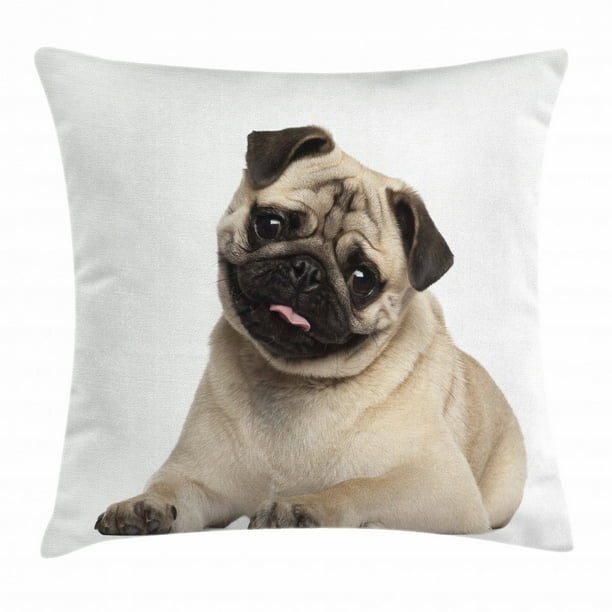 Pug Throw Pillow Cushion Cover Nine Months Old Pug Puppy Lying Around Cute Pet Funny Animal