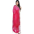thumbnail image 2 of Tapara Silk Bandhani Bandhej Dupatta for Women, Heavy Dupatta, 2 of 3