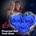 thumbnail image 3 of Set de regalo AddWel de rosas auténticas preservadas con collar de plata de ley, 3 of 9