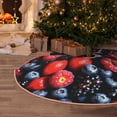 thumbnail image 5 of Fotbe Variety Of Fruits And Berries Pattern Christmas Tree Skirt, Tree Skirts Plush Christmas Decorations, Christmas Tree Skirts Xmas Decorations Holiday Party Decor-30", 5 of 6