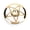 Gold, variant on NFTIGB Portable Contact Lens Box with Mirror Pentagram Shape Lenses Container Case Travel Kit Organizer Eco-Friendly Anti-Shock Plastic Gold 3x1.4in (7.5x3.6cm)