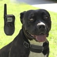 Paws & Pals Remote Dog Training Collar 330 Yard Radius LCD 100LV