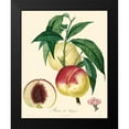 thumbnail image 2 of Bessa 12x14 Black Modern Framed Museum Art Print Titled - Bessa Peaches, 2 of 5