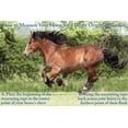 thumbnail image 2 of Derby Originals Nordic-Tough Winter Mini Pony Turnout Blanket 600D Medium Weight, 2 of 7