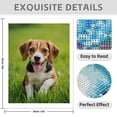 thumbnail image 3 of Diamond Art Kit for Adults, Happy Beagle Puppy Green Grass Diamond Painting for Adults Beginners, DIY Diamond Art Painting Kits, 5D Diamond Painting Crafts for Home Decor 12x16 Frameless, 3 of 7