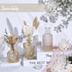 thumbnail image 5 of Tbwind Jarrón De Cristal, Juego De 24 Pequeños Floreros De Color Ámbar Para Centros De Mesa A Granel, Mini Florero Vintage Para Decoración De Bodas, Flores Individuales Y Decoración De Mesa Para El Ho, 5 of 5