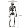 thumbnail image 4 of Squelette 5.5 Pouces Corps Entier Os Humains Réalistes avec Articulations Posables pour Halloween Squelette Entier Posable avec Articulations Mobiles pour Décorations de Maison Hantée, 4 of 6