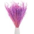 thumbnail image 1 of Ramo de flores secas Uxcell 17" Manojo de flores secas de Limonium [Rosa púrpura, 120g], 1 of 1