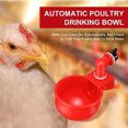 thumbnail image 5 of Bebedero automático para aves de corral, bebedero para pollo, pato, codorniz, color rojo, 6 uds., 5 of 5