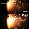 Lubelski,Samara & Bassett,Marcia - Morning Flare Symmetries - Vinyl
