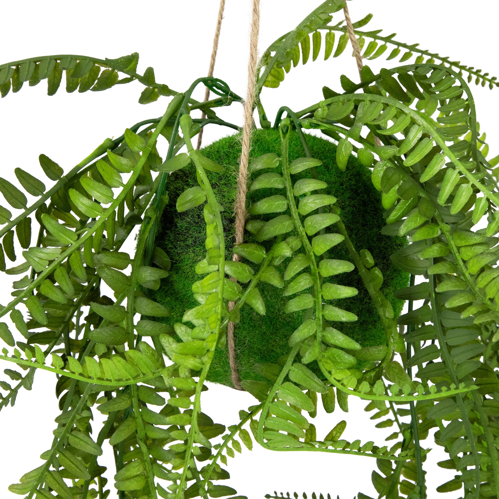 Northlight Artificial Fern Plant with Moss Ball and Hanging Jute Cord - 18"