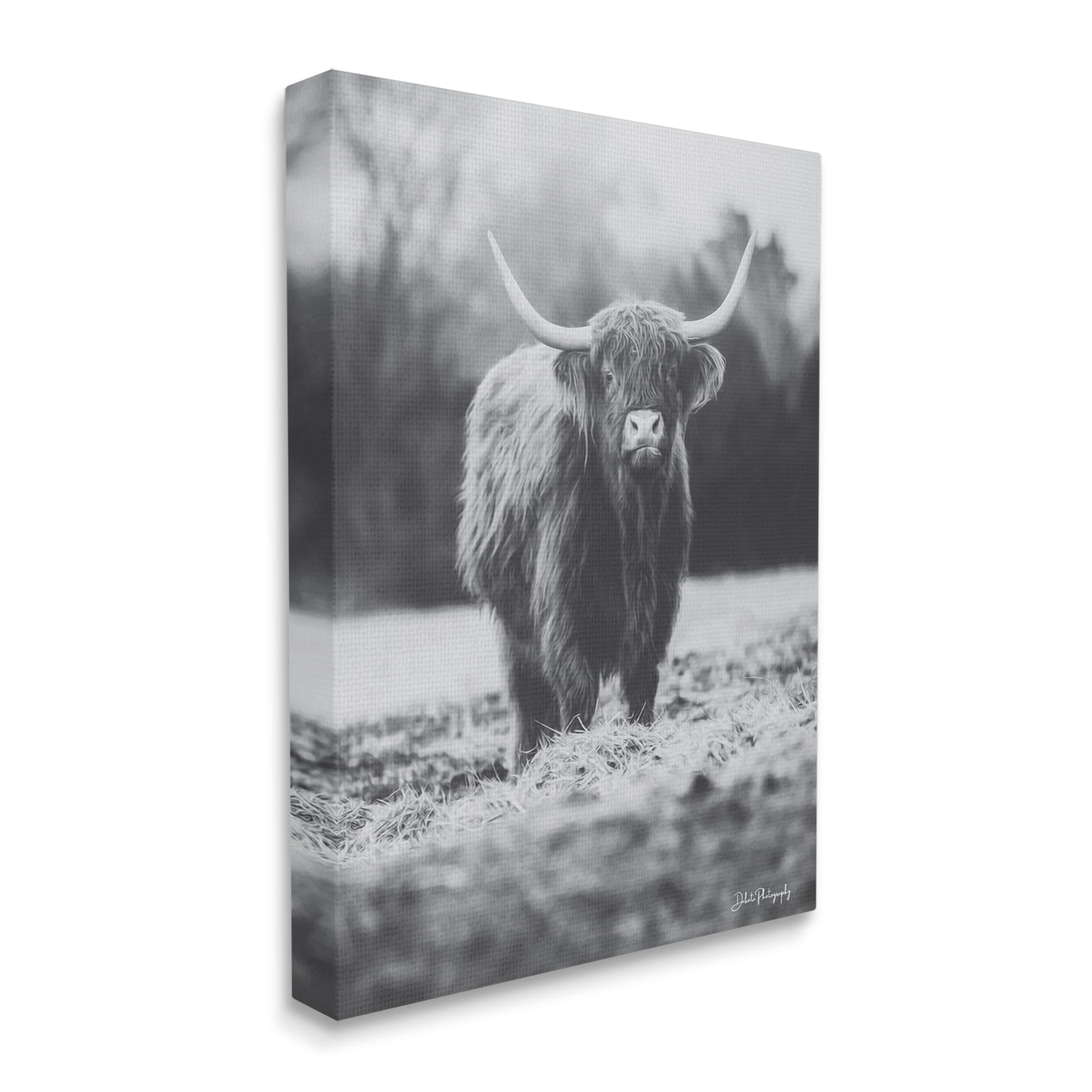Stupell Grazing Cattle Farmhouse Photography Animals & Insects Photography Gallery Wrapped Canvas Print Wall Art