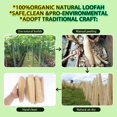 thumbnail image 4 of YIWUMI 【1pcs】 Loofah Brush Pot #30-39cm, 4 of 6