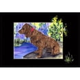 thumbnail image 1 of Carolines Treasures SS8065MAT Tapis d'Extérieur Intérieur Boykin Spaniel 18 x 27 Po, 1 of 4