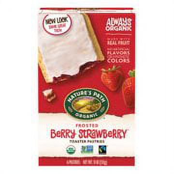 (Price/Case)Nature s Path 41000U Strawberry Frosted Toaster Pastry 12-11 Ounce
