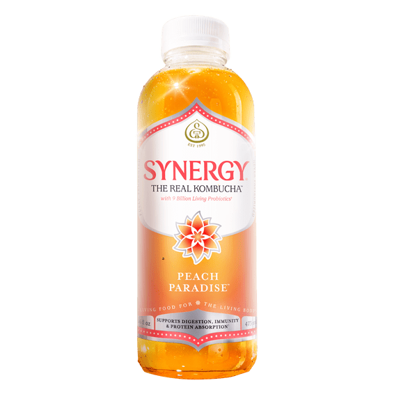 Synergy Peach Paradise Kombucha 16 fl oz