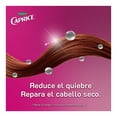 thumbnail image 2 of Shampoo Caprice Especialidades Control Caída Mamey + Arginina 750 ml, 2 of 4