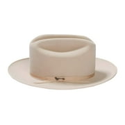 Stetson mens Royal Deluxe Open Road (Silverbelly, 7 3/8)