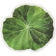 thumbnail image 4 of 50 pegatinas autoadhesivas de papel con forma de hoja, impermeables, para pared, para maletas, monopatines, refrigeradores, cascos y teléfonos móviles, de colores, 54 x 57 x 0,3 mm., 4 of 4