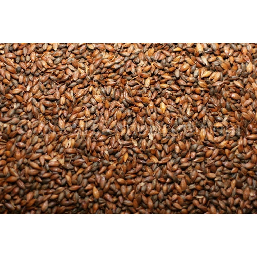 Roasted Barley by Briess, 1 lb