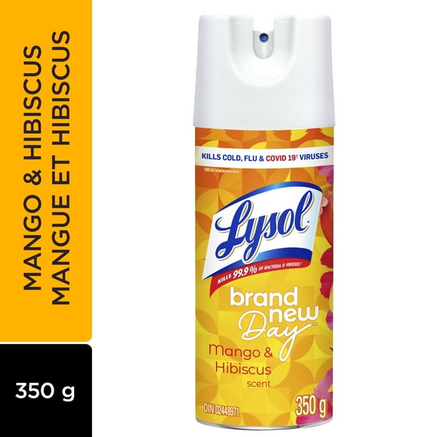 LYSOL DISINFECTANT SPRAY - Brand New Day Mango & Hibiscus 350g