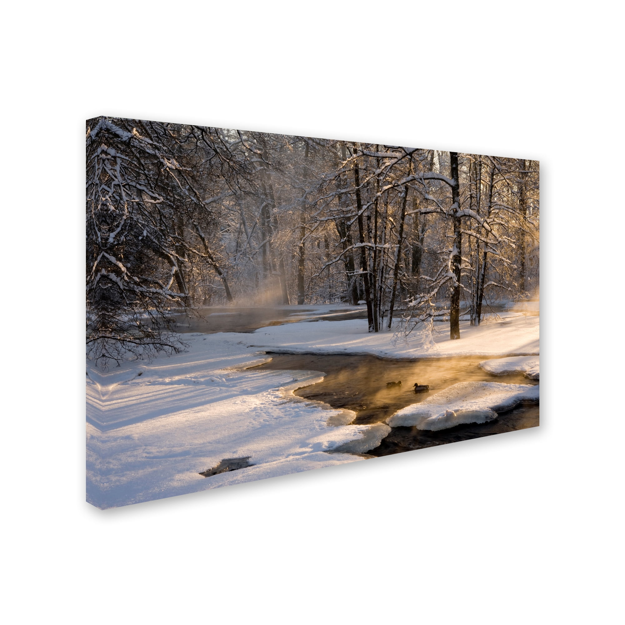 Trademark Fine Art 'The First Light' Canvas Art by Robin Eriksson