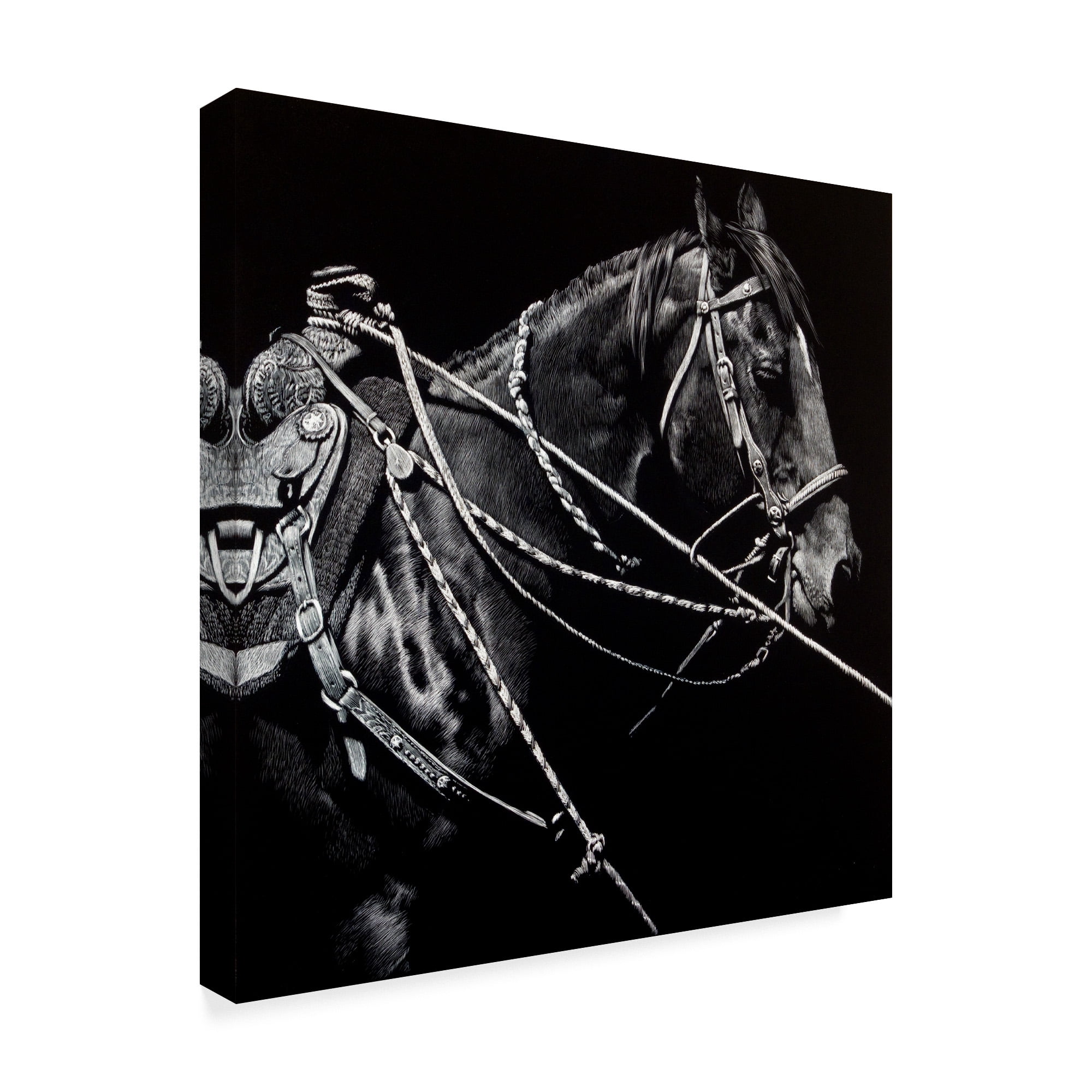 Trademark Fine Art 'Rigging 1' Canvas Art by Julie T. Chapman