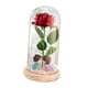 thumbnail image 5 of Rosa iluminada en cúpula de cristal, decoración creativa para San Valentín, regalos de flores rosas para Besos de base de madera, 5 of 9