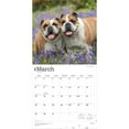thumbnail image 3 of Bulldogs | 2026 12x24" (Hanging) Square Wall Calendar | Plastic-Free | BrownTrout, 3 of 9