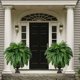 thumbnail image 1 of 2026 UV Resistant Lifelike Artificial Boston Fern, 1 of 4