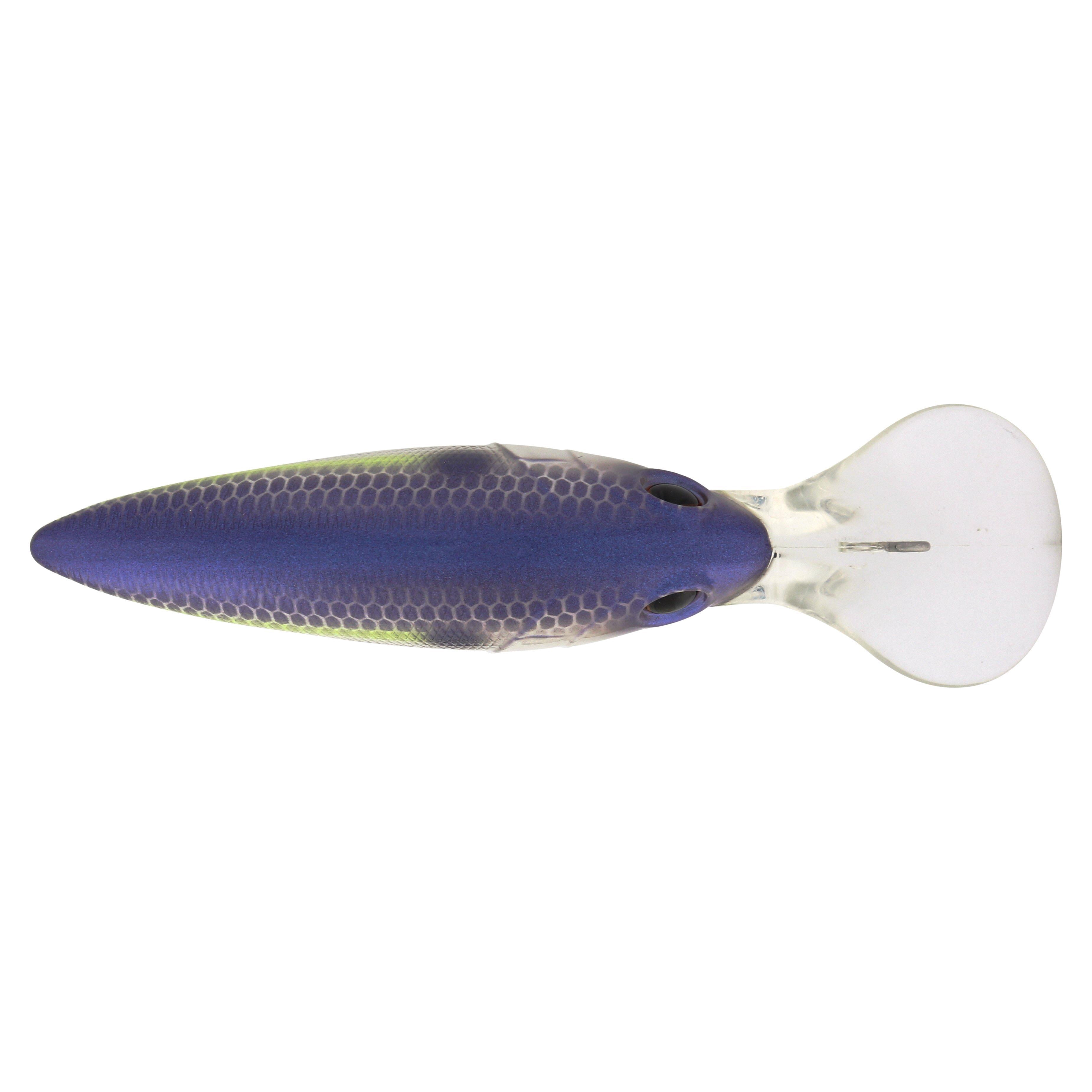 Berkley Money Badger, 7.25, Purple Glimmer