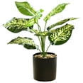 thumbnail image 1 of Plantas artificiales en macetas, plantas falsas, plantas verdes realistas de imitación para el hogar, la oficina, el escritorio, la estantería, la sala de estar, el baño, la cocina, decoración con, 1 of 5