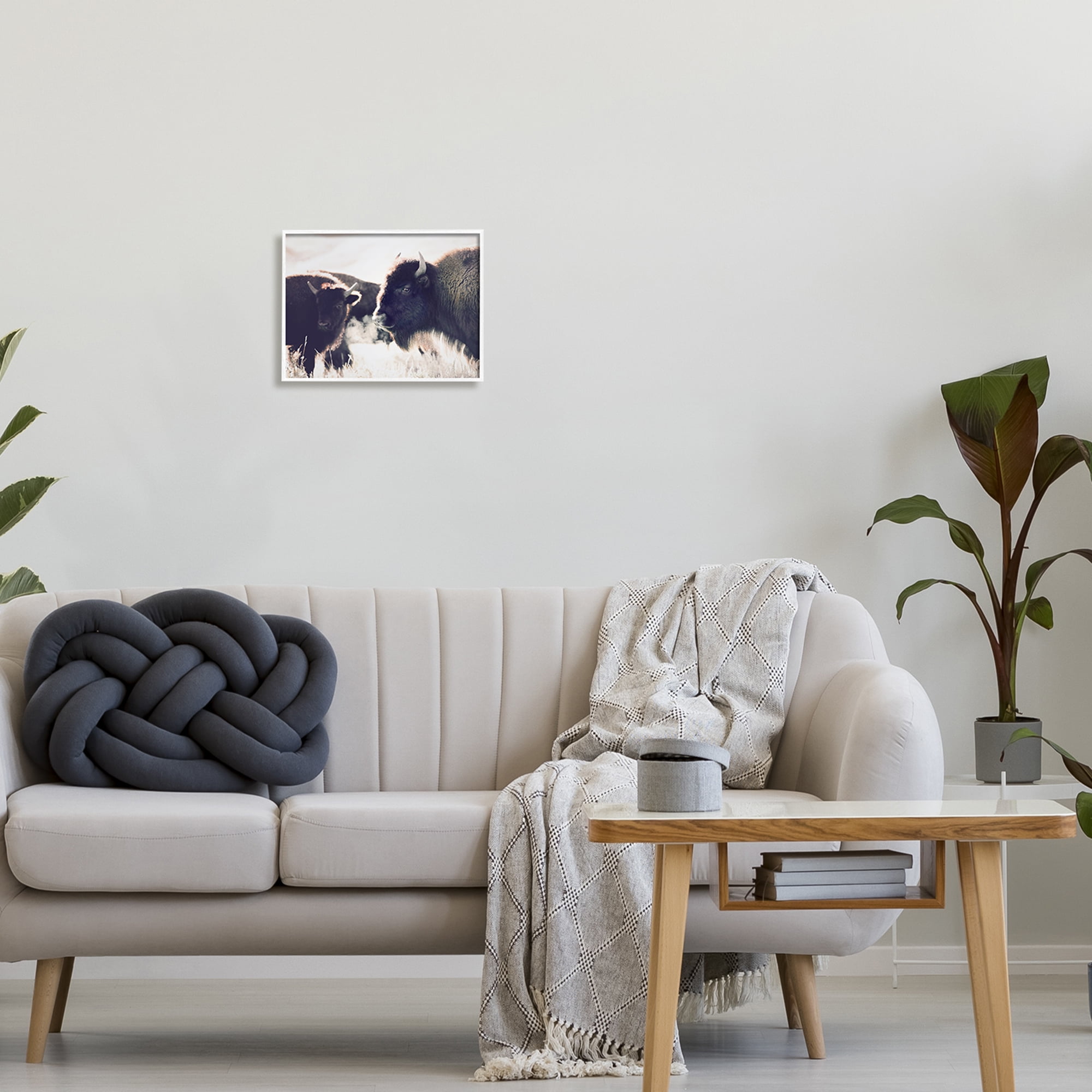 Stupell Industries Bison Gazing in Nature Animals & Insects Photography White Framed Art Print Wall Art, 14 x 11