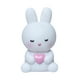 thumbnail image 2 of CaiYueKe Easter Bunny Night Light Portable LED Decor Cute Rabbit with Heart Carrot Shape Bedside Lamp Children's Room Holiday Party Valentine's Day Decorations Gift Home Decorative Light, 2 of 7