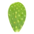 thumbnail image 3 of Nopal Cambray empacado por kilo, 3 of 6
