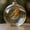 A, variant on WEGFTDUOP Christmas Tree Decorative Pendant