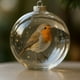 thumbnail image 1 of Herunwer Winter Birds Christmas Glass Bauble Collection, Nature’s Birds Crystal Glass Ornament, Cute Hummingbird Christmas Tree Ornaments, 1 of 6