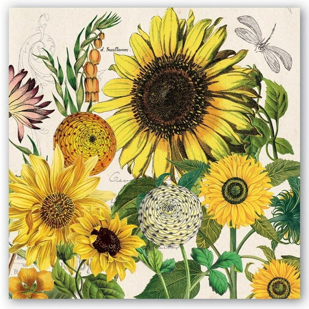 Michel Design Works Paper Luncheon Napkins - Sunflower - Walmart.com ...