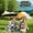 A#36448, variant on Ganfancp Beach Mat Outdoor Impermeable Picnic Mat Outing Camping Humidity Proof Mat Tent Floor Mat Portable Travel Picnic Sheet Deals