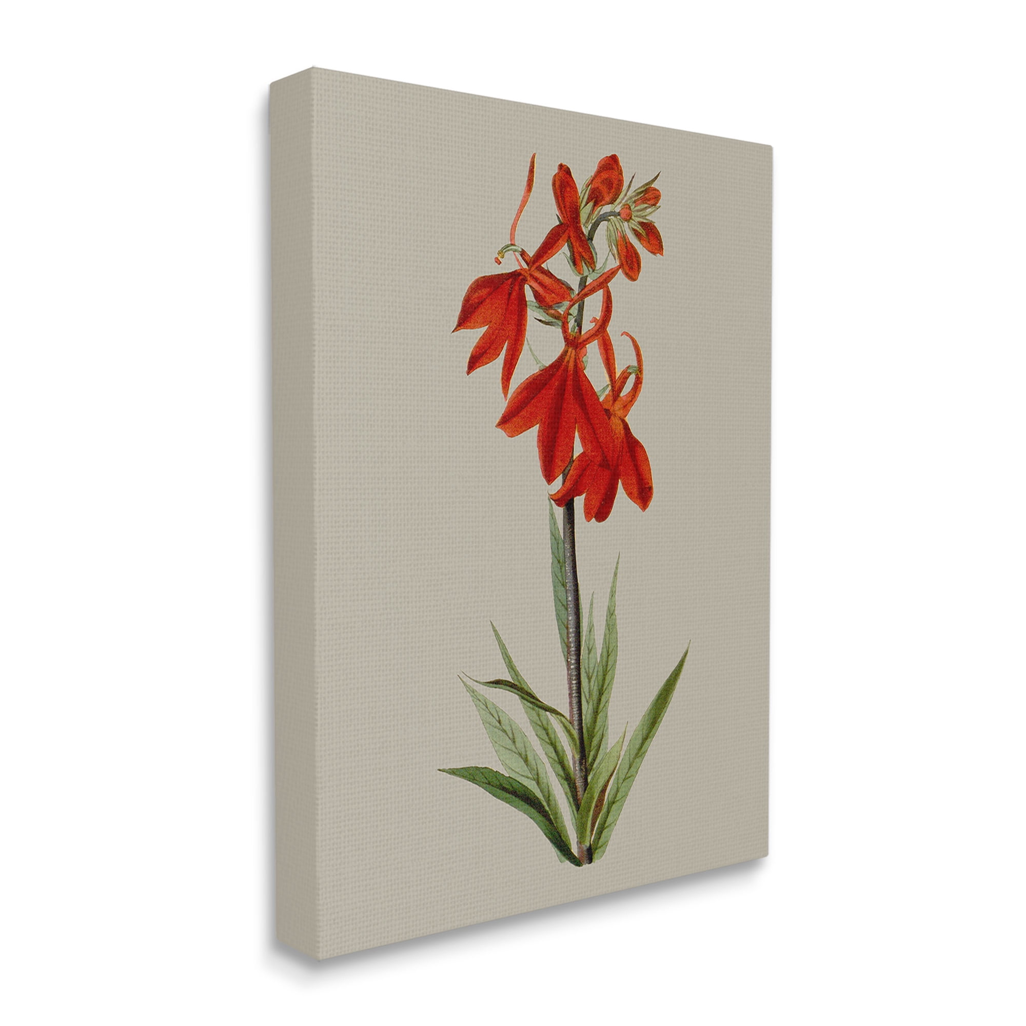 Stupell Industries Traditional Blossom Study Botanical & Floral Painting Gallery Wrapped Canvas Art Print Wall Art, 16 x 20
