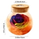 thumbnail image 3 of Rosa preservada en botella de vidrio con luz LED | Decoración floral eterna para dormitorio, sala de estar o escritorio | Regalo romántico para San Valentín, cumpleaños y Navidad., 3 of 6
